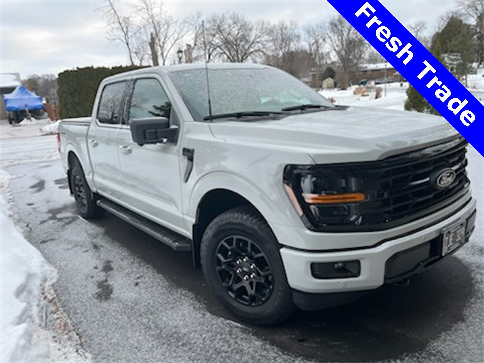 2024 Ford F-150 XLT Black Appearance