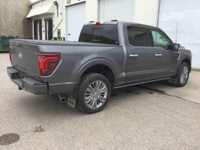 2024 Ford F-150 Platinum